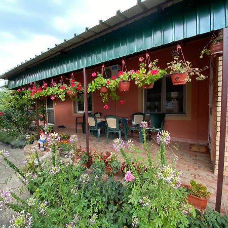 Sud ,,Antal I Olga,, Bed & Breakfast Skorenovac Eksteriør bilde