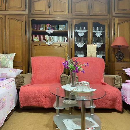 Sud ,,Antal I Olga,, Bed & Breakfast Skorenovac Rom bilde