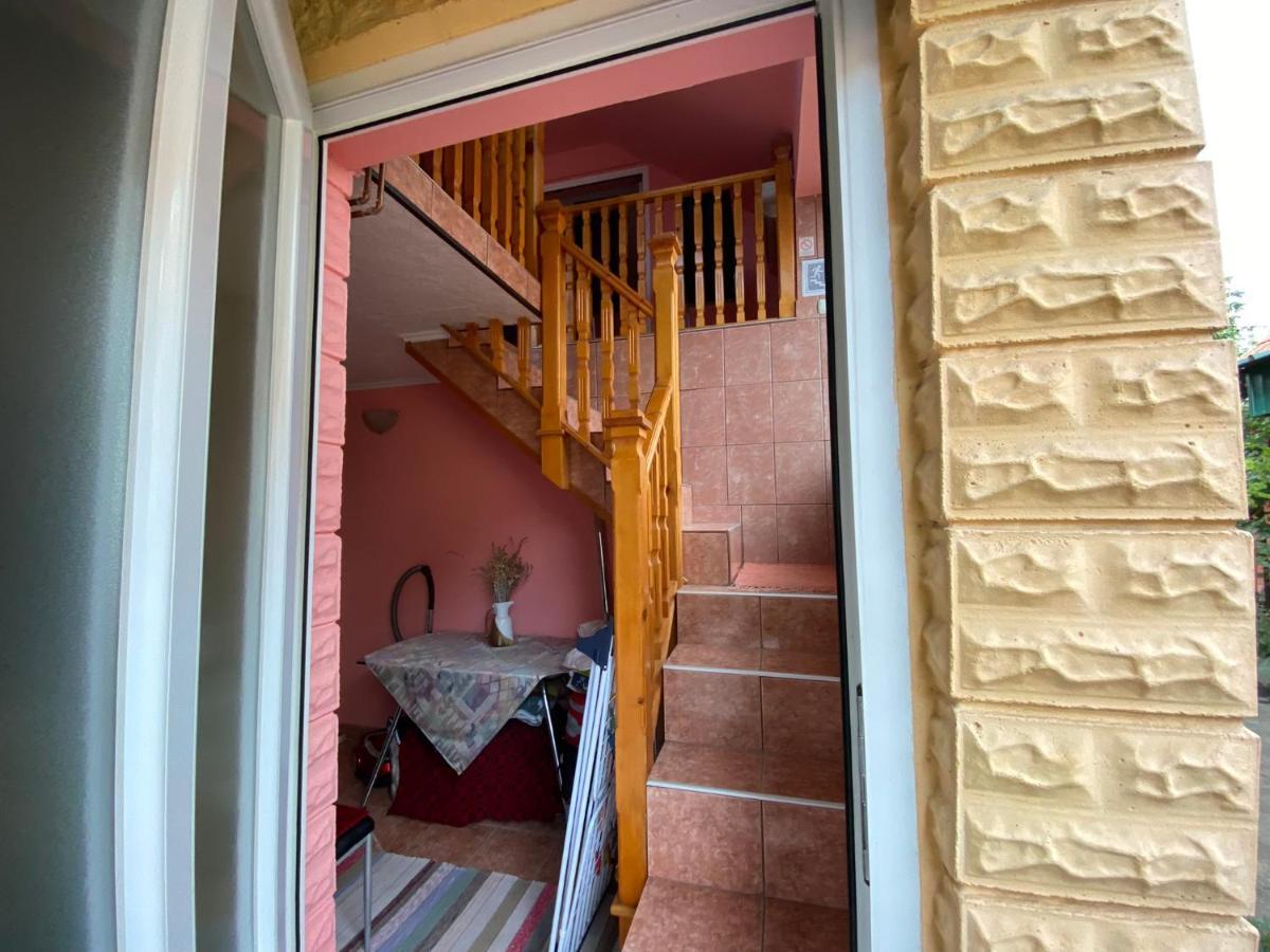 Sud ,,Antal I Olga,, Bed & Breakfast Skorenovac Eksteriør bilde