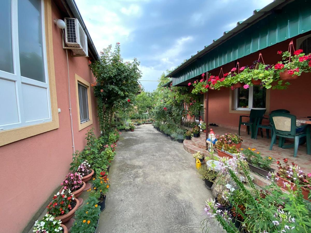 Sud ,,Antal I Olga,, Bed & Breakfast Skorenovac Eksteriør bilde