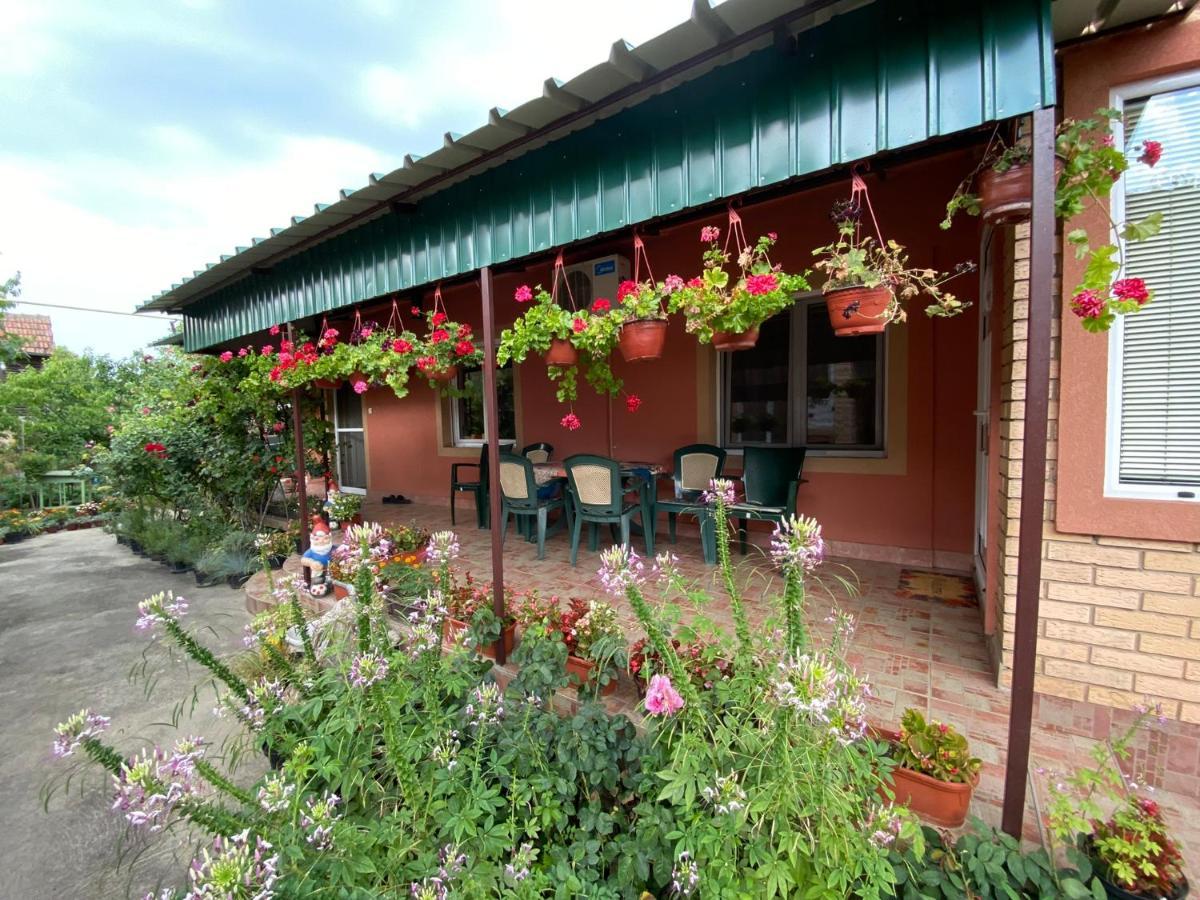 Sud ,,Antal I Olga,, Bed & Breakfast Skorenovac Eksteriør bilde
