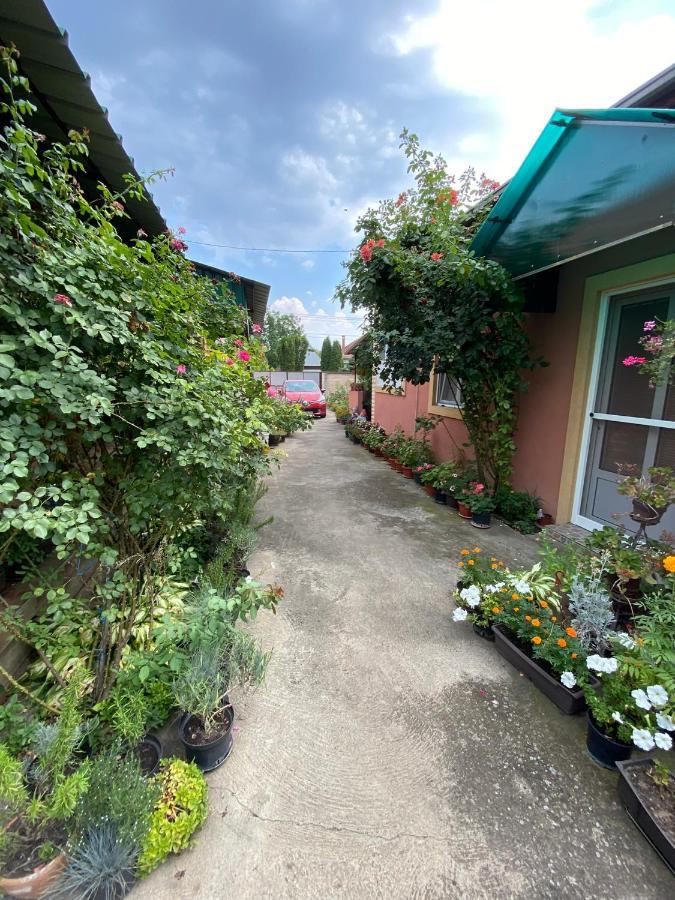 Sud ,,Antal I Olga,, Bed & Breakfast Skorenovac Eksteriør bilde
