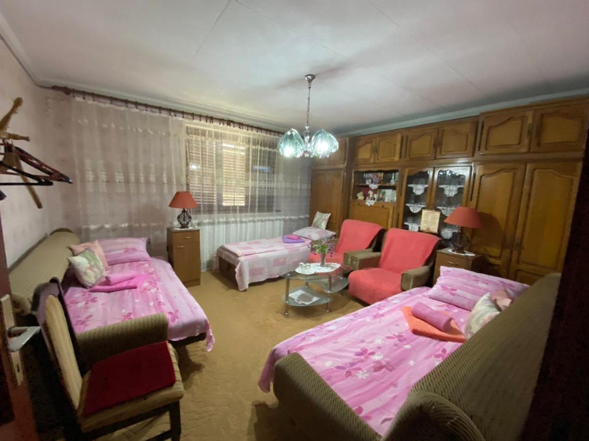 Sud ,,Antal I Olga,, Bed & Breakfast Skorenovac Rom bilde