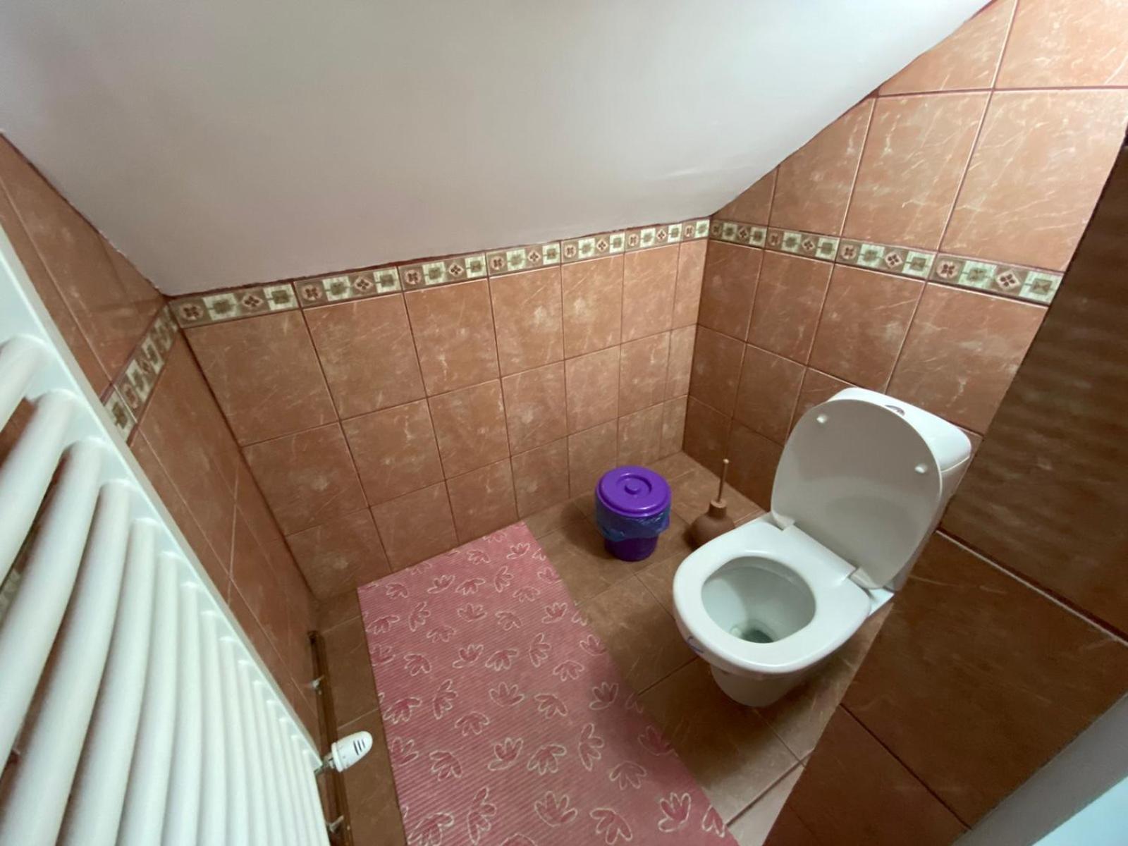 Sud ,,Antal I Olga,, Bed & Breakfast Skorenovac Rom bilde