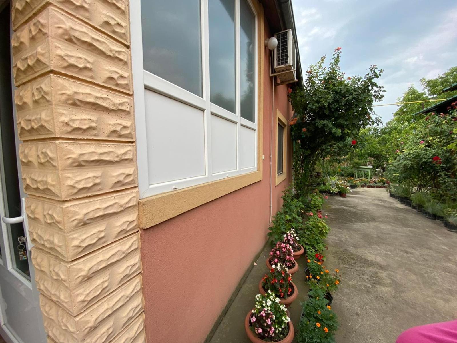 Sud ,,Antal I Olga,, Bed & Breakfast Skorenovac Rom bilde